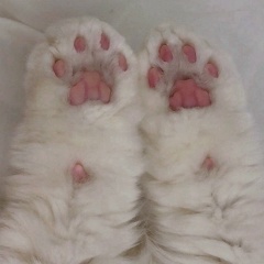 Екатерина Ипатова, 25.01.1986, Москва