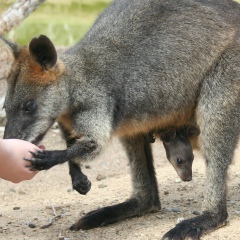 Ольга Пасынкова, Москва