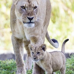 Ясмина Евкурова, 11.07.1995, Москва