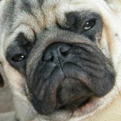 Владимир Костин, Рязань