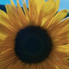 Лидия Иванова, Москва