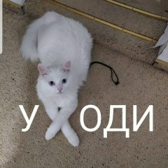 Виталий Пустобаев