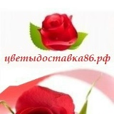 Алина Маслова, Сургут