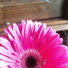 Екатерина Голобокова, 30.10, Иркутск