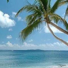 Ян Де-Буа, 17.06.1999, Москва