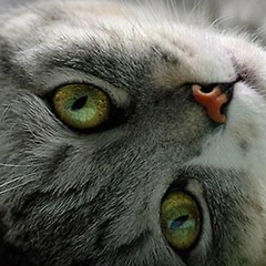 Екатерина Каминская, 28.10, Днепр (Днепропетровск)