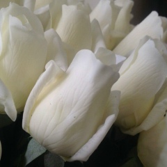 Марал Райымбеккызы, 04.12