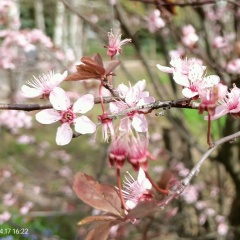 Ирина Пилипенко, 06.11