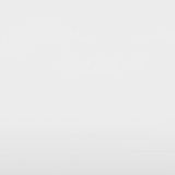 Василий Петров, 07.08.1904