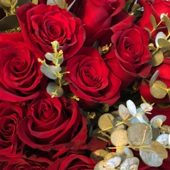 Анастасия Александровна