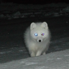 Владимир Твердохлебов, 12.04, Волгоград