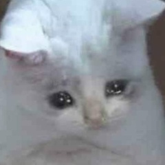 Тортик Солнечный