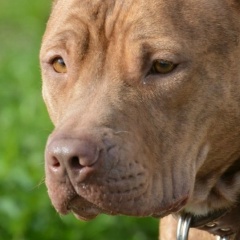 Ольга Рысь, 18.03, Копачево