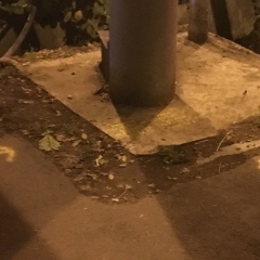 Kirill Pak, 13.08, Алматы