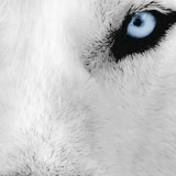 Bagdat Abdrash, 07.07, Алматы