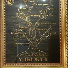 Дулат Бекежанов, Тараз