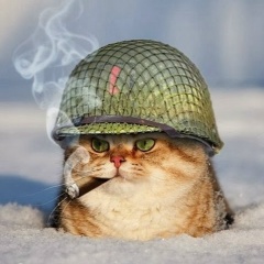 Юра Злодей, 06.05, Санкт-Петербург