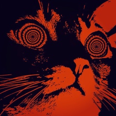 Денис Корнеев, 13.01