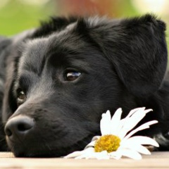 Юрий Петров, 30.05.1981, Самара