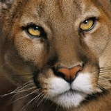 Нафиса Кусмаева, 06.10, Мелеуз