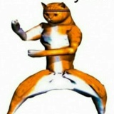 Антон Нижегородский, 20.03.1993, Москва