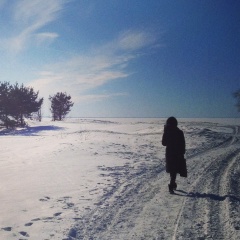 Лиса Милославская, Москва