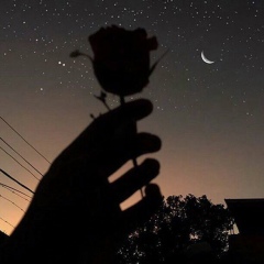 Saul Goodman, 25.02, Санкт-Петербург