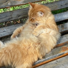 Алёна Юрицына, 10.05