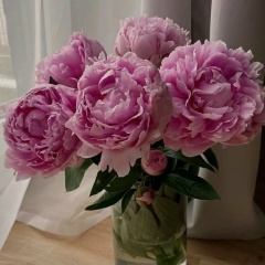 Татьяна Сафронова, 12.08, Троицк