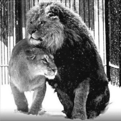 Оразбек Кошкарбаев, 23.02.1994