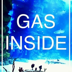 Биджо Жорж, 06.02, Москва