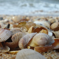 Елена Ел, 21.02, Самара