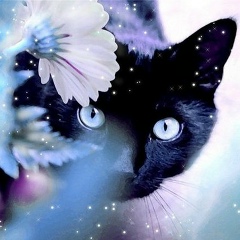 Natatulka Kim, Santo Domingo