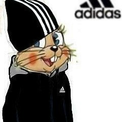 Эрик Перелётов, Ухта