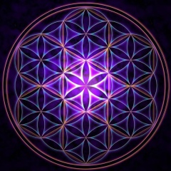 Сергей Донецкий