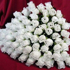Саида Зульпикарова, 07.03, Алматы