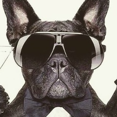 Владислав Хорбин