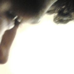 Arayik Mikhayelyan, 09.01.1996, Ереван