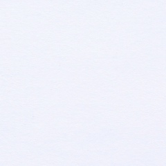 Иннокентий Федоров, Якутск