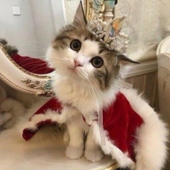 Альби Асхатовна