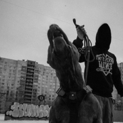 Никита Лялюшкин, 01.02.1996, Санкт-Петербург