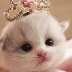 Алтынай Оразова, 13.06, Астана