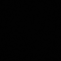 Миша Нетвоёсобачьедело, Darmstadt