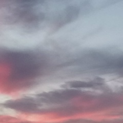 Чудо Природы, 26.11.1995, Большой