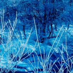 John Son, 16.06.1989, Yangon