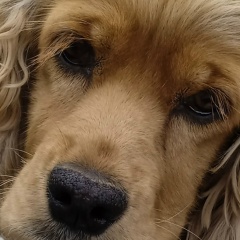 Галина Власова, 03.12.1980