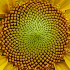 Your Life, 16.01, Батуми