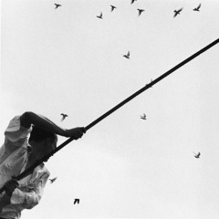 Настя Астраханцева, 31.05