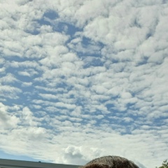 Илья Крылов, 24.05, Москва