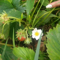 Kate Titova, 10.03, Мурманск